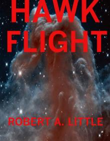 Hawk Flight (Flight of the Hawk Book 3) Read online
