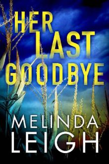 Her Last Goodbye (Morgan Dane Book 2) Read online