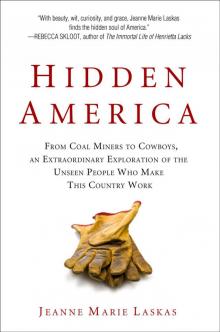 Hidden America Read online