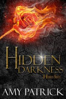 Hidden Darkness (Hidden Saga Book 4) Read online