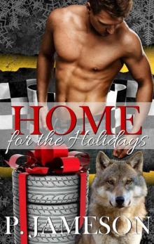Home For The Holidays (Dirt Track Dogs #6) Read online