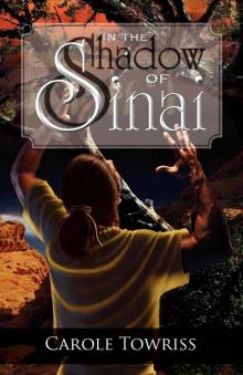 In the Shadow of Sinai (Journey to Canaan Book 1) Read online