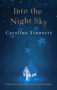 Into the Night Sky Read online