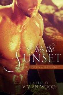 Into The Sunset: An Erotic Romance Anthology Read online