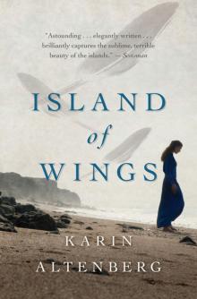 Island of Wings Read online