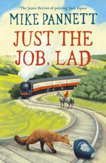 Just the Job, Lad Read online