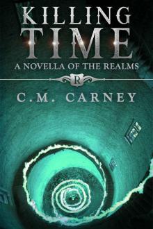 Killing Time: The Realms Book 1.5 - (A Humorously Epic LitRPG Adventure) Read online