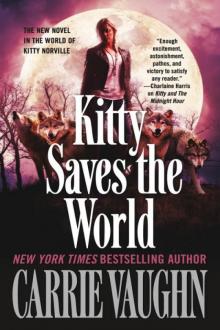 Kitty Saves the World Read online