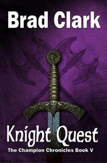 Knight Quest (The Champion Chronicles Book 5)