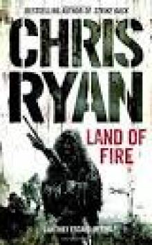 Land of Fire Read online
