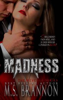 Madness (Revenge Series Book 3) Read online