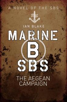 Marine B SBS Read online