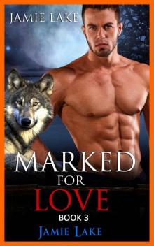 Marked for Love 3 Read online