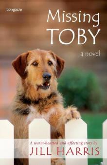 Missing Toby Read online