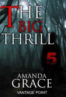 MYSTERY: THE BIG THRILL - VANTAGTE POINT (Suspense Thriller Mystery Collection Book 5) Read online