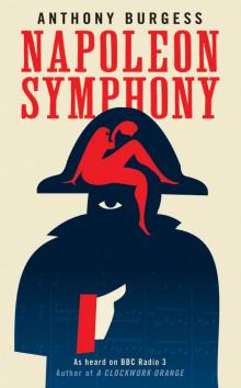 Napoleon Symphony Read online