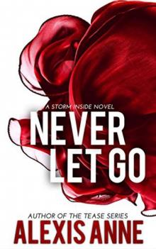 Never Let Go (The Storm Inside #4) Read online