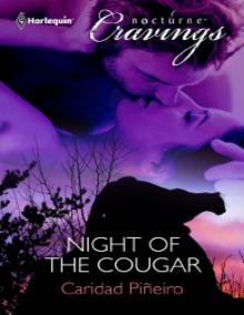 Night of the Cougar Read online