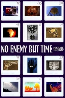 No Enemy But Time Read online