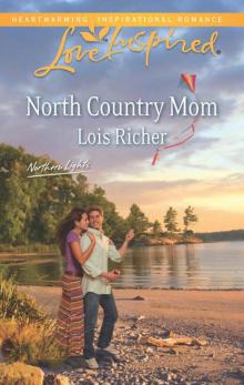 North Country Mom Read online