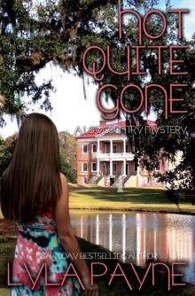 Not Quite Gone (A Lowcountry Mystery) Read online