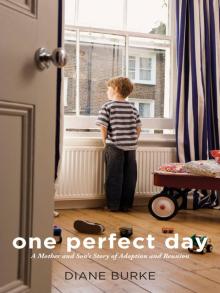 One Perfect Day Read online