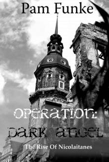 Operation Dark Angel: The Rise of Nicolaitanes (Apocalypse Series Book 1) Read online
