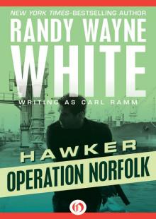 Operation Norfolk Read online