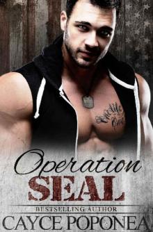 Operation SEAL: Book Two Trident Brotherhood Series Read online