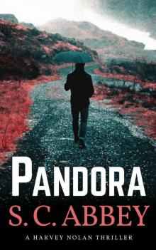 Pandora: A Harvey Nolan Thriller, Book 2 (Harvey Nolan Mystery Thriller Series) Read online