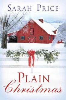 Plain Christmas (Plain Fame Book 6)