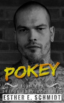 Pokey_Areion Fury MC Read online