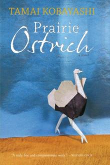 Prairie Ostrich