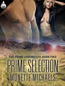 Prime Selection Read online