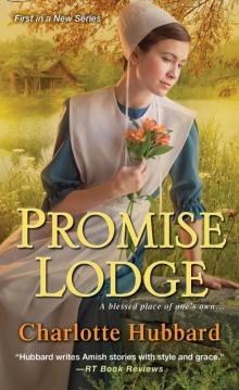 Promise Lodge Read online
