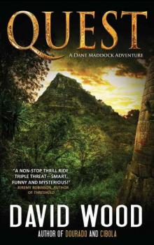 Quest (Dane Maddock Adventures) Read online