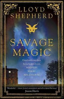 Savage Magic Read online