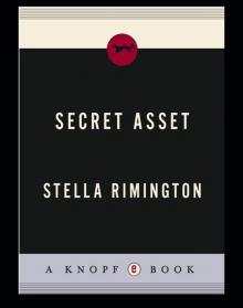 Secret Asset Read online