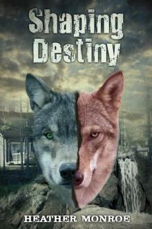 Shaping Destiny Read online