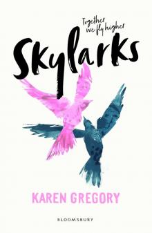 Skylarks Read online