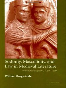 Sodomy, Masculinity, and Law in Medieval Literature Read online