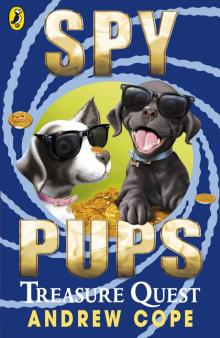 Spy Pups: Treasure Quest Read online