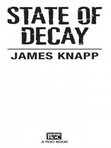 State of Decay