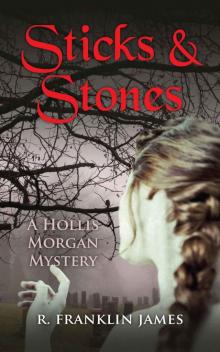 Sticks & Stones (A Hollis Morgan Mystery)