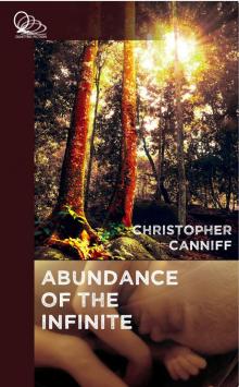 The Abundance of the Infinite