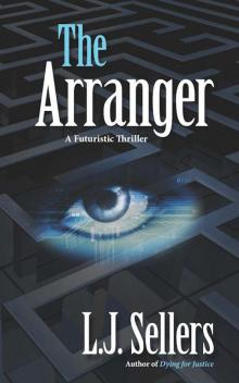 The Arranger Read online