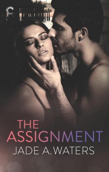 The Assignment Read online