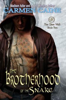 The Brotherhood of the Snake (Return of the Ancients Book 2) Read online