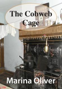 The Cobweb Cage Read online