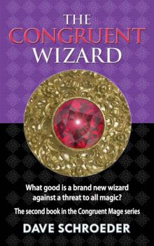 The Congruent Wizard (The Congruent Mage Series Book 2) Read online